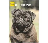 Il carlino