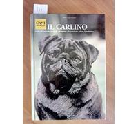 Il carlino