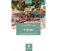 Il carrubo. Caratteristiche, coltivazioni e utilizzi - La Malfa Stefano