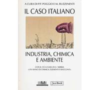 Il caso italiano. Industria, chimica e ambiente. Con CD-ROM