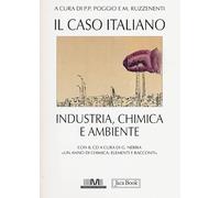 Il caso italiano. Industria, chimica e ambiente. Con CD-ROM