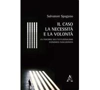 Il caso, la necessità e la volontà. Un percorso nell'istituzionalismo economico evoluzionista