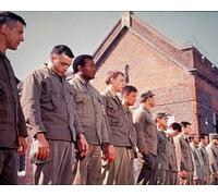 Il Cast Di The Dirty Dozen [1003571] Foto 8x10 (Altre Dimensioni Disponibili)