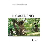 Il castagno