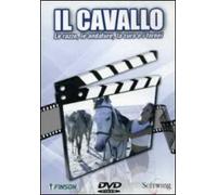 Il cavallo