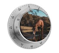 Il cavallo sta bevendo acqua. Timer manuale con conto alla rovescia e base