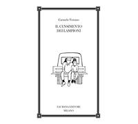 Il censimento dei lampioni