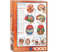 Il Cervello 1000 Pezzi Puzzle Da Eurographics 680mm x 490mm (Panzer)