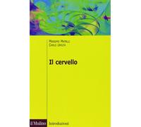 Il cervello. Anatomia e funzione del Sistema nervoso centrale. Ediz. illustrata