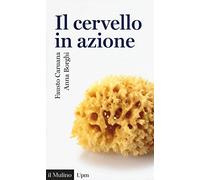 Il cervello in azione