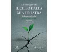 Il cielo dalla mia finestra