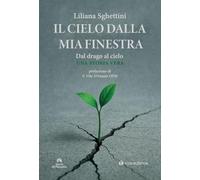 Il cielo dalla mia finestra