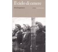 Il cielo di cenere