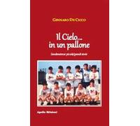 Il cielo... in un pallone