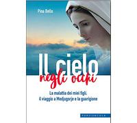 Il cielo negli occhi. La malattia dei miei figli, il viaggio a Medjugorje e la guarigione