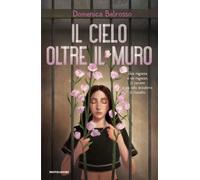 Il cielo oltre il muro