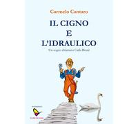 Il cigno e l'Idraulico. Un sogno chiamato Carla Bruni