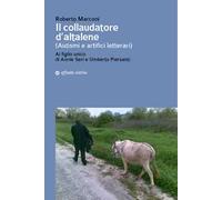 Il collaudatore d'altalene (autismi e artifici letterari). Al figlio unico di Annie Seri e Umberto Piersanti