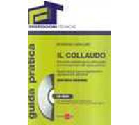 Il collaudo. Strumenti operativi per la verifica della buona esecuzione dell'opera pubblica. Con CD-ROM