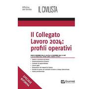 Il collegato lavoro 2024: profili operativi