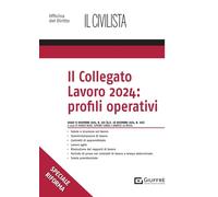 Il collegato lavoro 2024: profili operativi