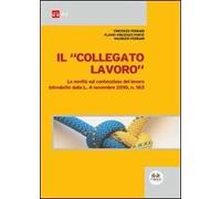 Il collegato lavoro. Le novità sul contenzioso del lavoro introdotte dalla L. 4 novembre 2010, n. 183