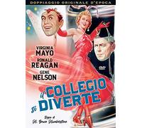 Il Collegio si diverte