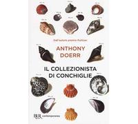 Il collezionista di conchiglie