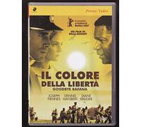 Il colore della liberta'
