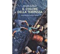 Il colore della tempesta. Romanzo di un'impresa italiana
