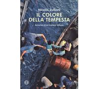 Il colore della tempesta. Romanzo di un'impresa italiana - Zuliani Nicolò