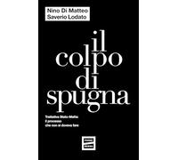 Il colpo di spugna