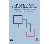 Il «colpo d'occhio meraviglioso». Percorsi dell'ecfrasi nella Napoli dell'Otto e del Novecento