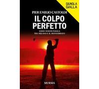 Il colpo perfetto. Ludo Mayer indaga tra Milano e il Monferrato