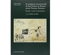 Il complesso monumentale di Sant'Andrea in Flumine presso Ponzano Romano. Restauri e studi interdisciplinari. Ediz. illustrata. Con CD-ROM