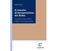 Il concetto di interpretazione del diritto - 2023 - Giappichelli