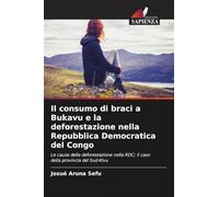 Il consumo di braci a Bukavu e la deforestazione nella Repubblica Democratica del Congo
