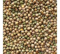 Il Contadino - Antichi Becchimi | PISELLO AD USO ZOOTECNICO | Essenza di semi Selezionati e Super Ventilati, No OGM, 100% Vegetale, Assenza di scarti. Qualità Superiore (5 Kg)