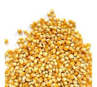 Il Contadino - Antichi Sapori | MAIS DA POP CORN | Perfetto per Pop Corn Croccante e Gustoso, Mais Naturale di Qualità Premium, Senza Conservanti, Confezione Salva Freschezza (400g)