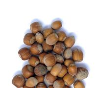 Il Contadino - Antichi Sapori | NOCCIOLE IN GUSCIO | Confezione Salva Freschezza, Frutta Secca di Qualità Premium, Non Tostate, Al Naturale (125g)