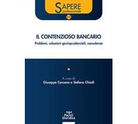 Il contenzioso bancario. Problemi, soluzioni giurisprudenziali, consulenze