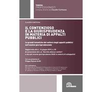 Il contenzioso e la giurisprudenza in materia di appalti pubblici. Le grandi tematiche del settore degli appalti pubblici nell'analisi giurisprudenziale