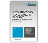 Il contenzioso tra le banche e i clienti. L'anatocismo, le commissioni, l'usura, la forma, la prova