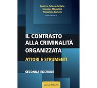 Il contrasto alla criminalità organizzata. Attori e strumenti