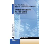 Il controllo di gestione nel terzo settore. Tecniche e dinamiche