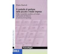 Il controllo di gestione nelle piccole e medie imprese. Dalla contabilità analitica al budget, dall'analisi di bilancio al sistema di reporting