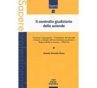 Il controllo giudiziario delle aziende