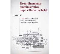 Il coordinamento amministrativo dopo Vittorio Bachelet