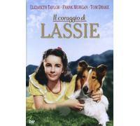 Il coraggio di Lassie (DVD) Elizabeth Taylor Frank Morgan Tom Drake Selena Royle
