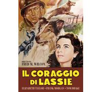 Il Coraggio Di Lassie (DVD) Taylor Drake Morgan